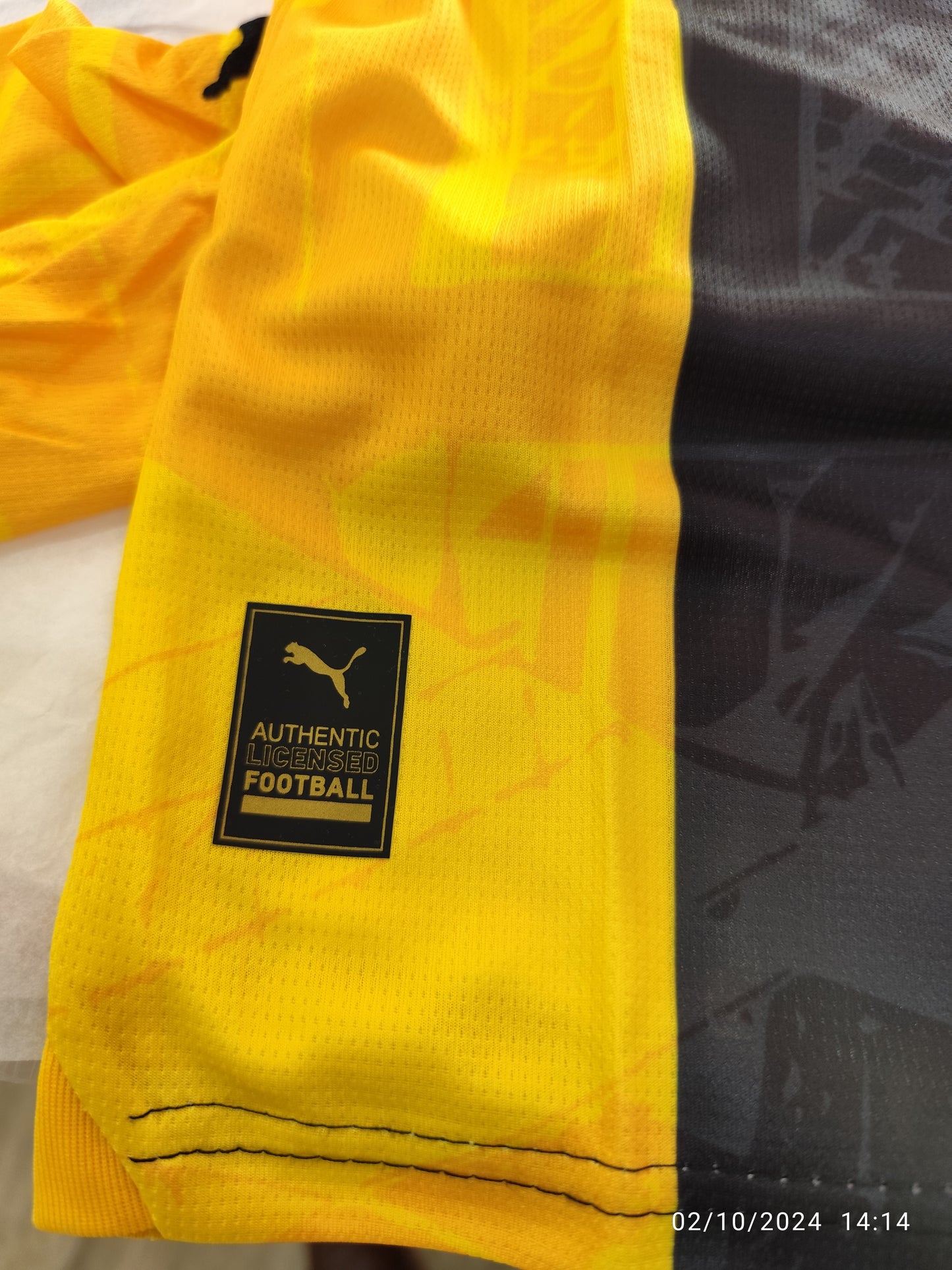 Borussia Dortmund 2024 Tailandesa 1.1